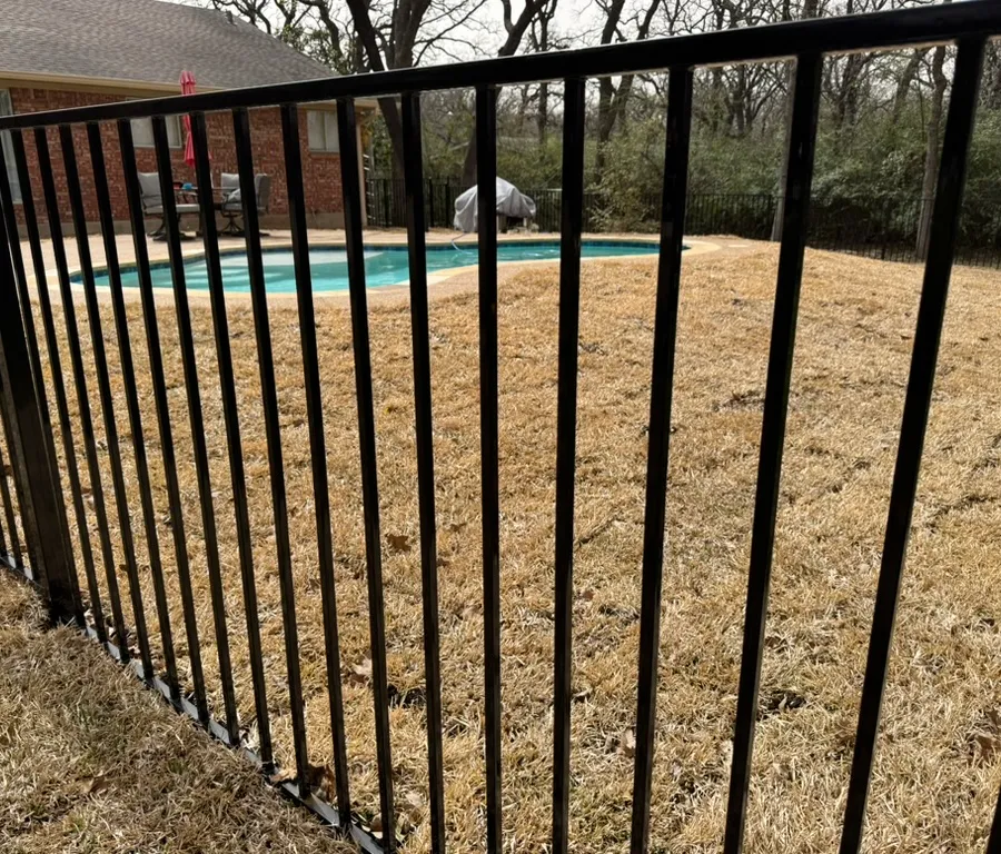 Black ornamental metal pool barrier enclosing a backyard swimming pool