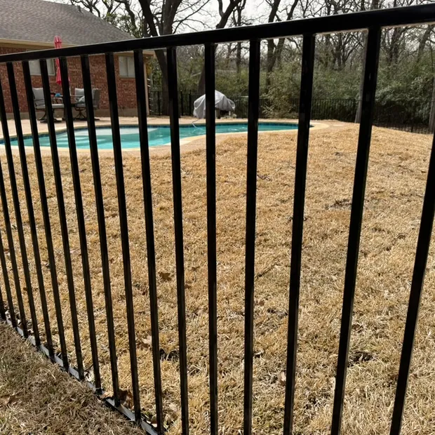 Black ornamental metal pool barrier enclosing a backyard swimming pool